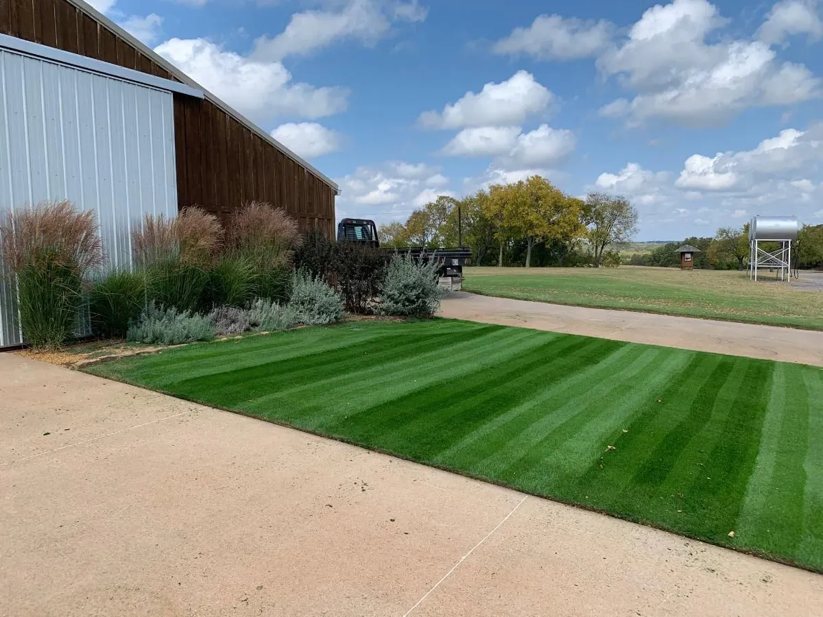 Championship Rye - Image 2