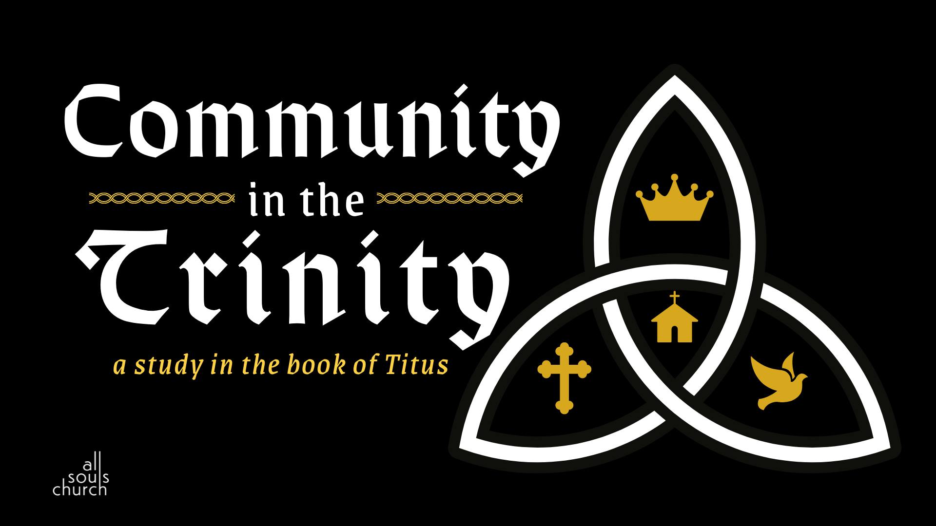 Community In The Trinity: Good Works cover for post