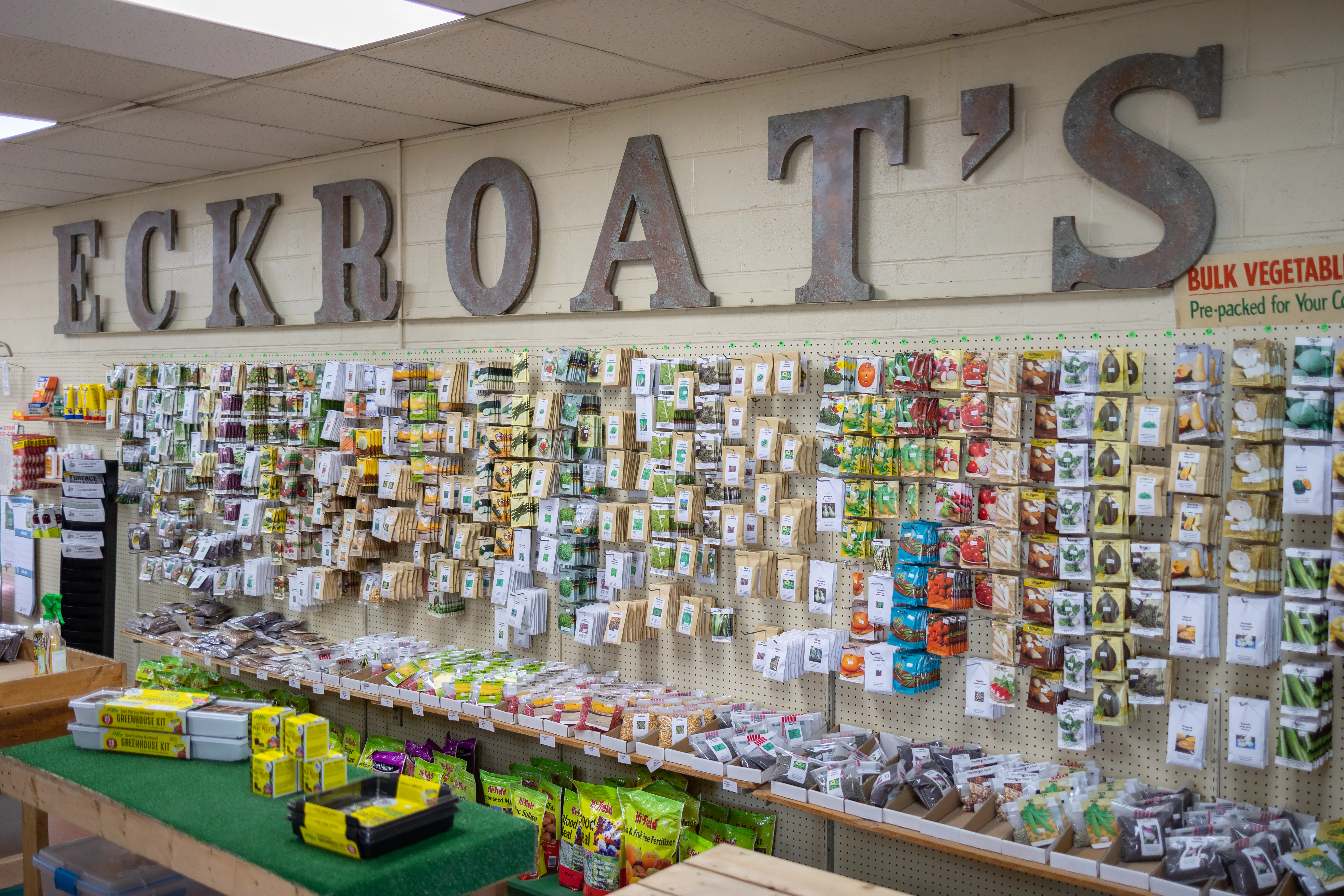 Vegetable Seeds - Image 3