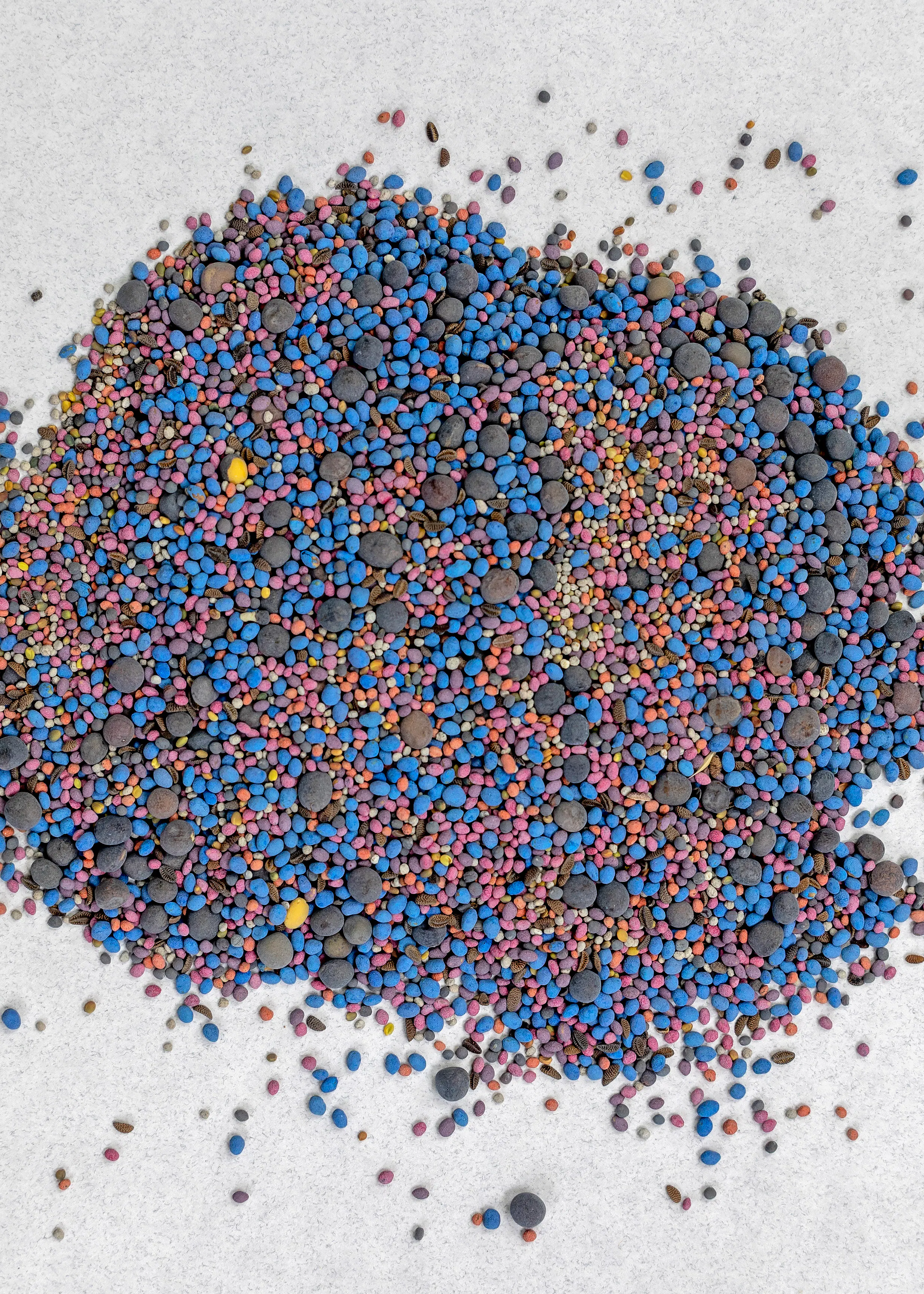 Pastures For Pollinators - Image 2