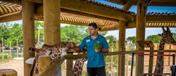 abilene-zoo-giraffe-exhibit