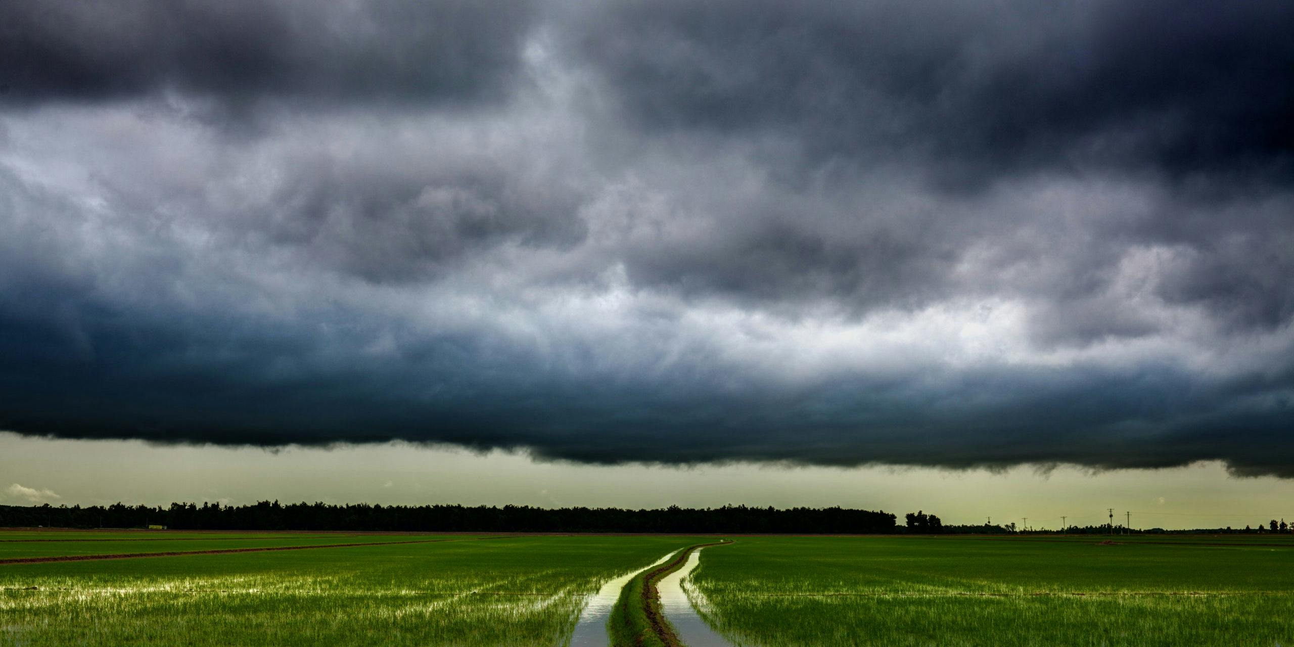 A Storm is Brewing in Rural America. We Need a Farm Bill NOW. description