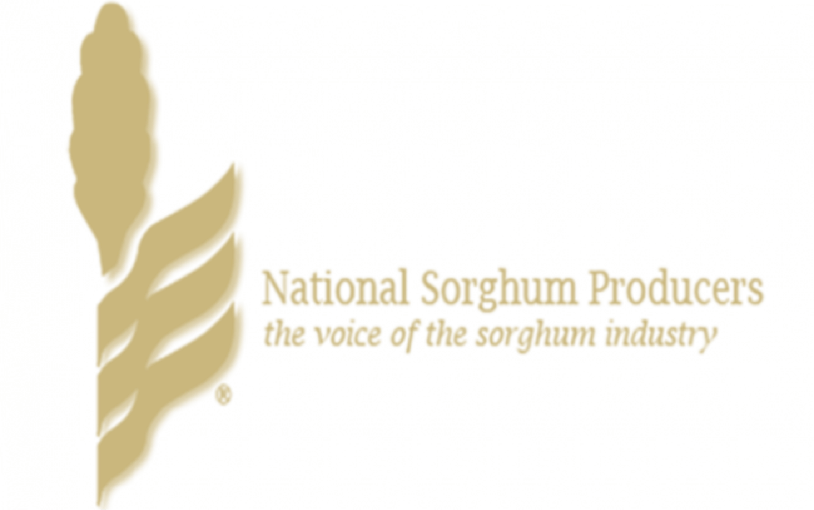 NSP