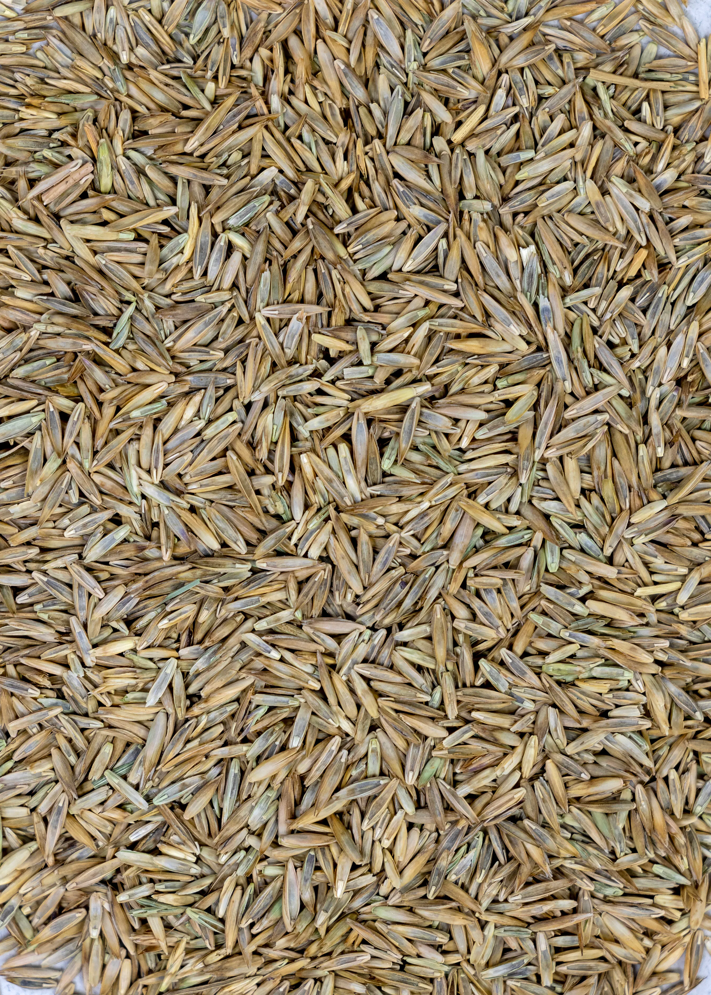 Premium Tee - Image 2