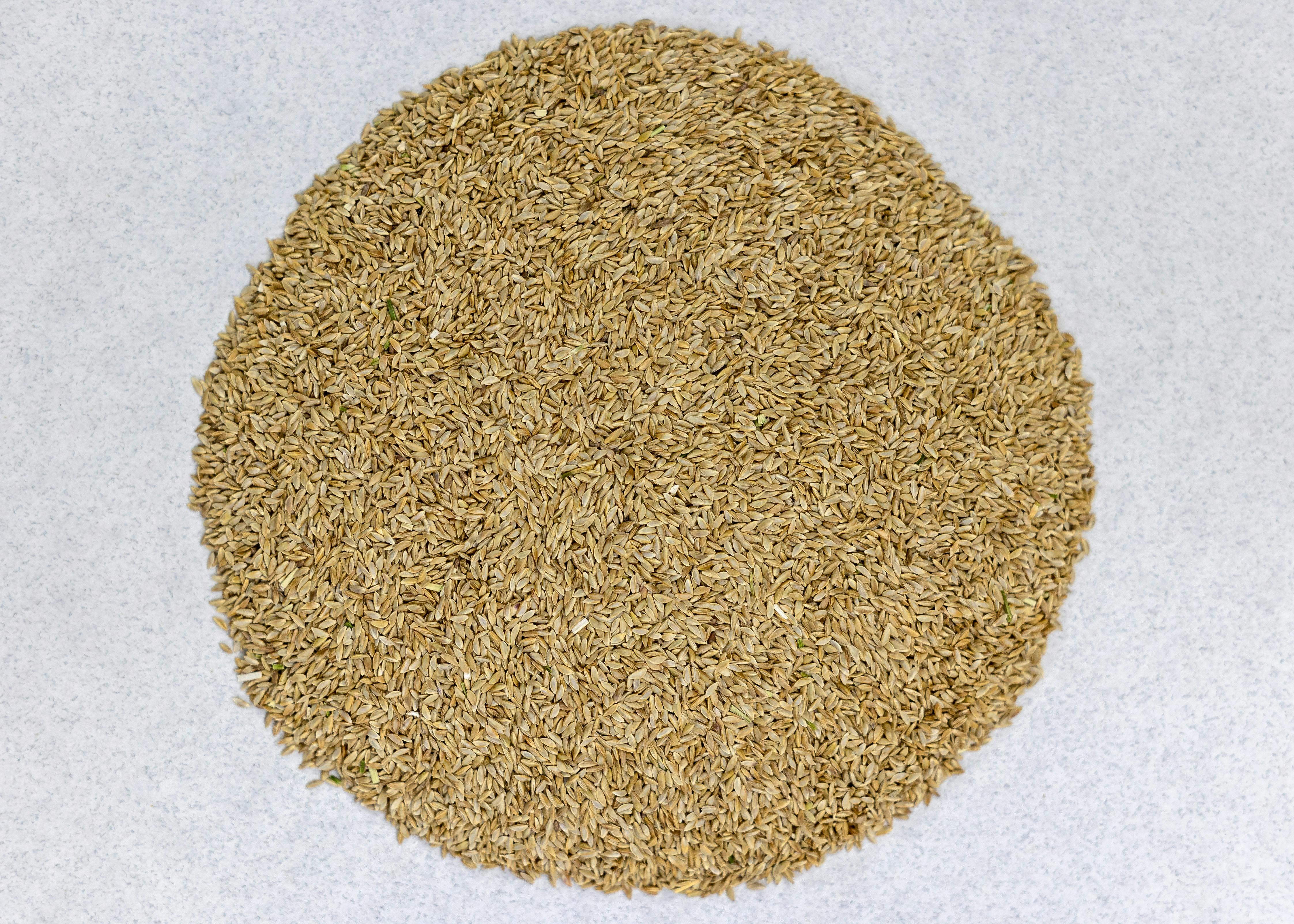 Bermuda Grass Seed Oklahoma City | Eckroat Seed