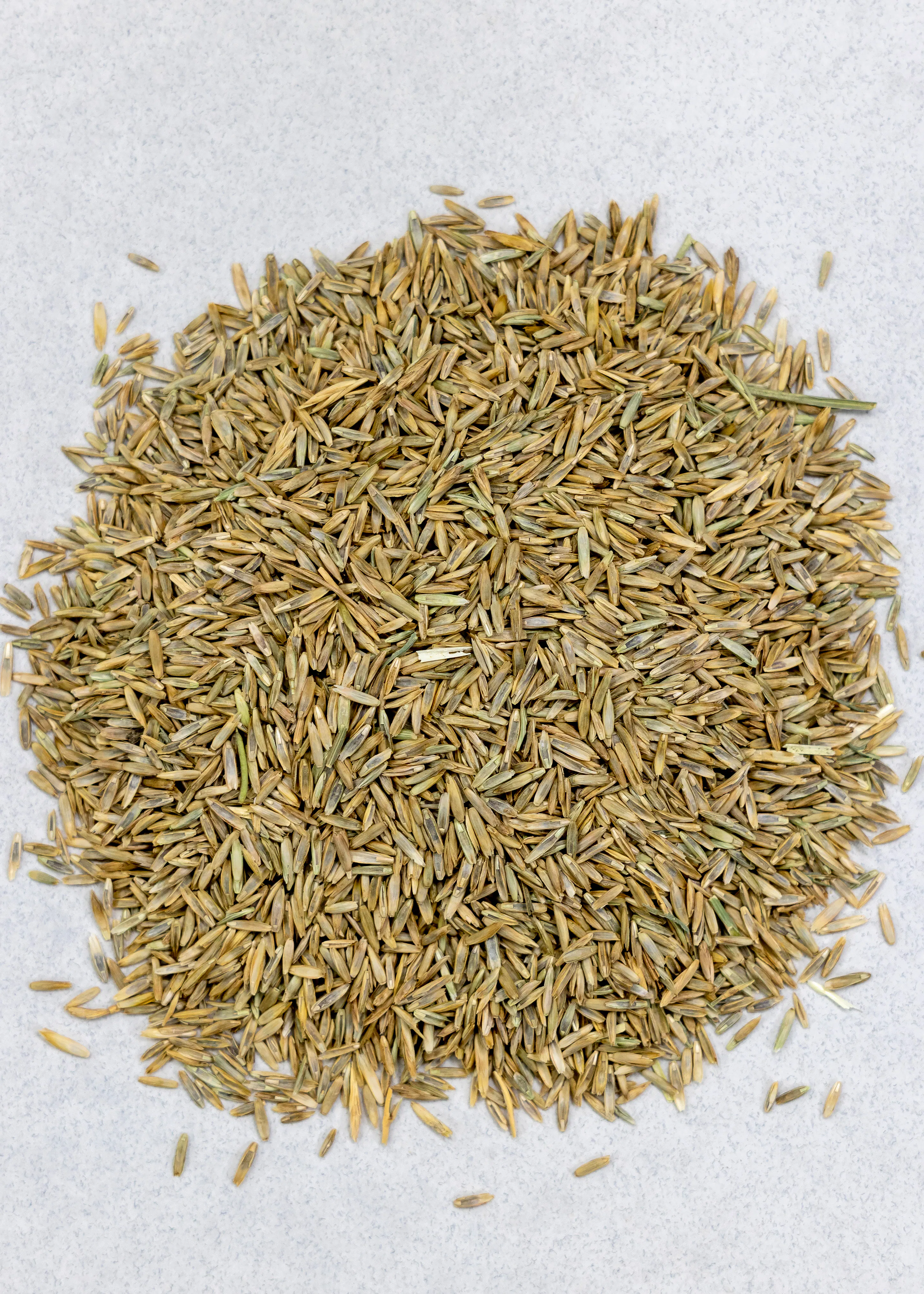 Championship Rye - Image 3