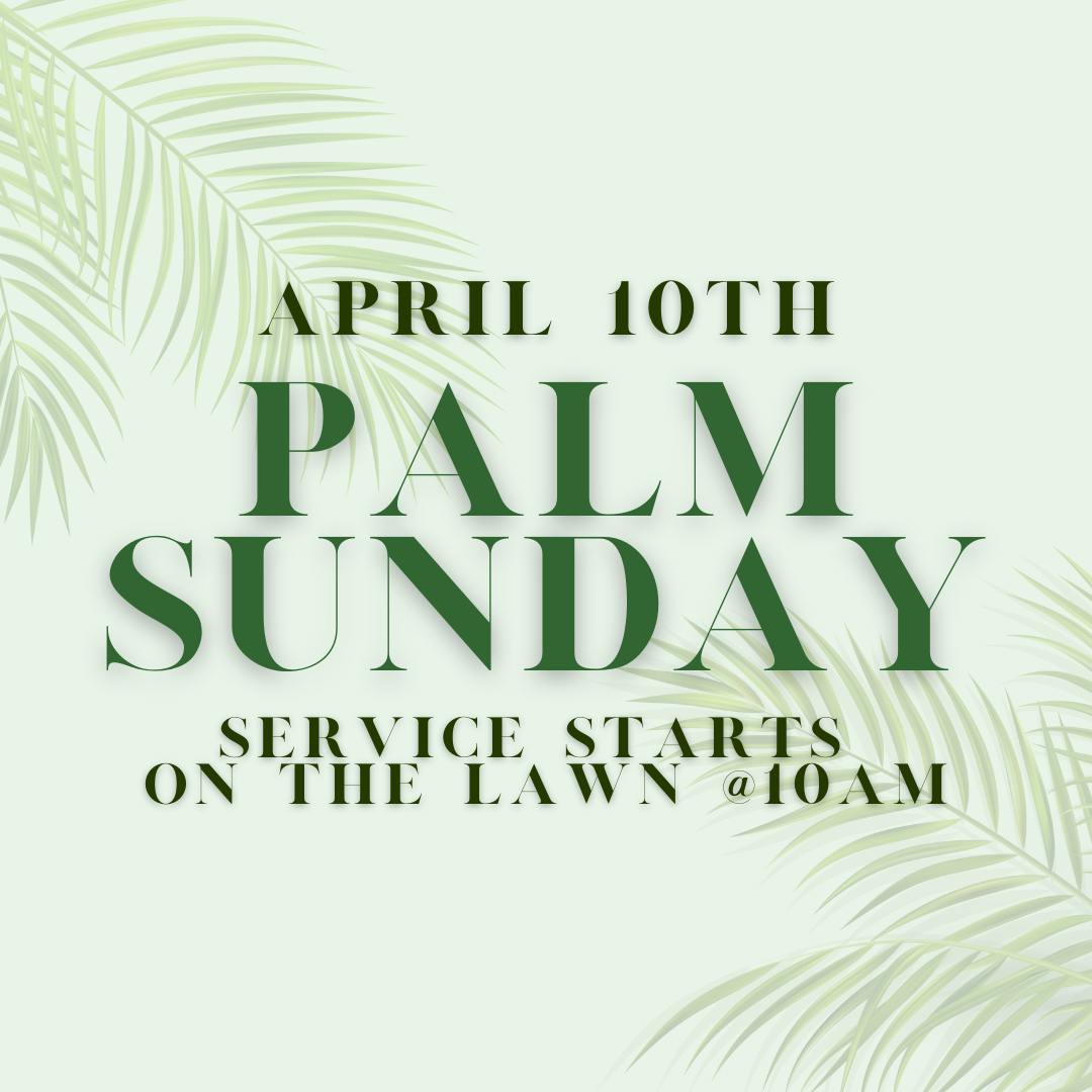 Have Mercy On Us - Matthew 20:29-21:17