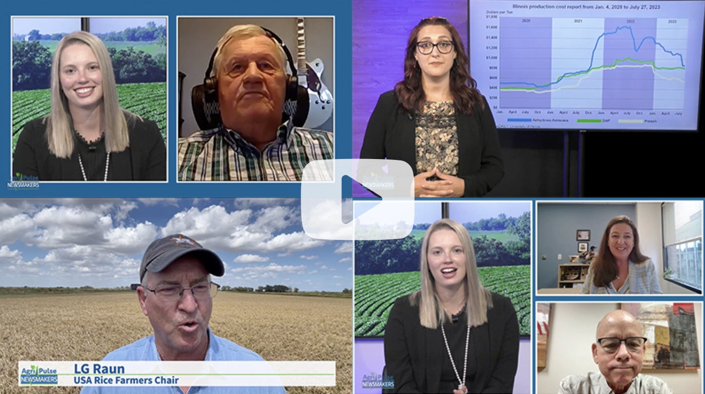 CSA Partner, Collin Peterson, and USA Rice Chairman, LG Raun, Featured on Agri-Pulse Newsmakers description